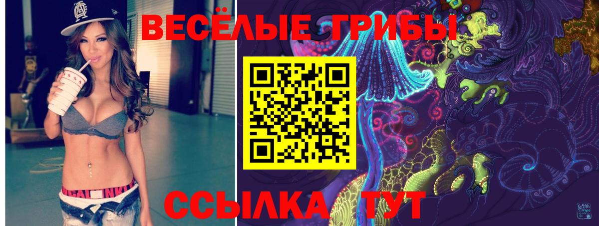 Псилоцибиновые грибы Psilocybe  Вход с VPN  Вязьма  Псилоцибиновые грибы Cubensis 