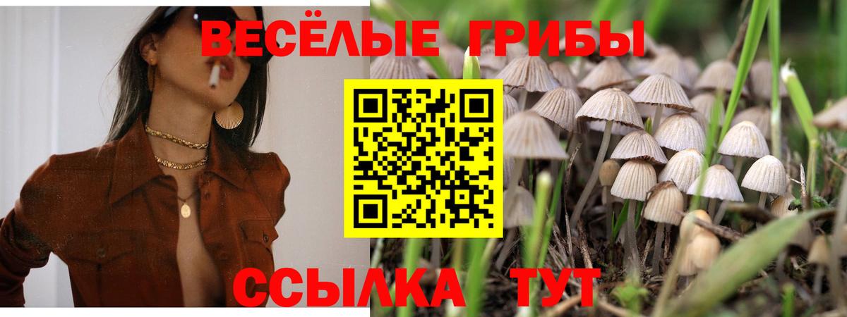 Галлюциногенные грибы GOLDEN TEACHER Вязьма
